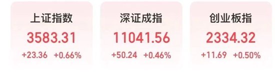 配资牌照查询 300199，“20CM”涨停